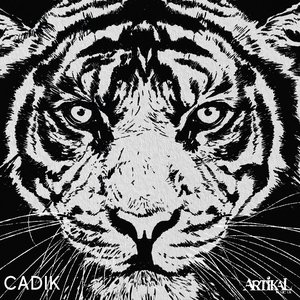 'Tiger Heart' için resim