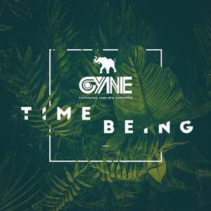 Image for 'Time Being (Deluxe Edition)'