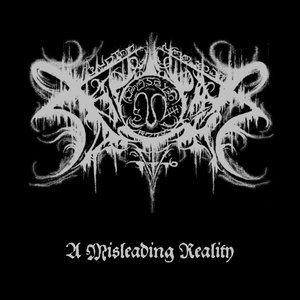 Image for 'A Misleading Reality'