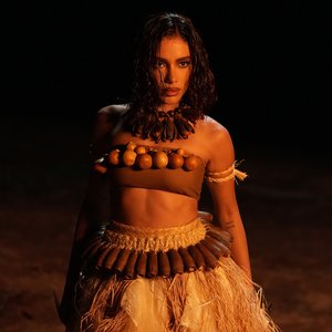 Image for 'Anitta & Los Brasileros'