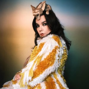 'Björk' için resim