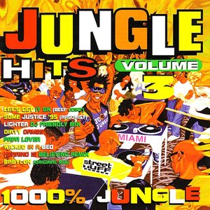 Immagine per 'Jungle Hits, Vol. 3'