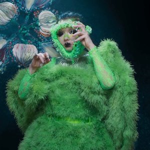 'Björk' için resim
