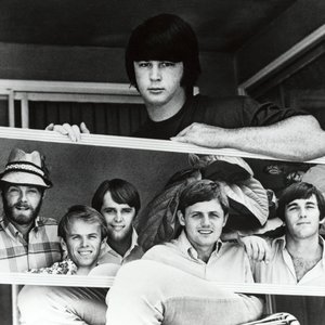 Immagine per 'The Beach Boys'