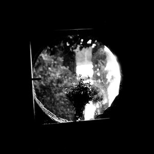 Image for 'Spring Demos'