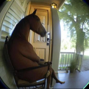 swapslut