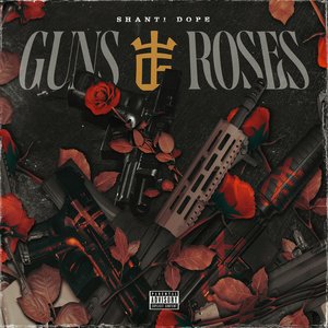 Image for 'Guns and Roses'