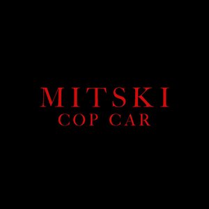Immagine per 'COP CAR'