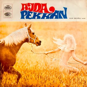 Zdjęcia dla 'Fecri Ebcioğlu Sunar: Ajda Pekkan'