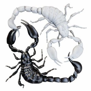 Image for 'IJSLAND'