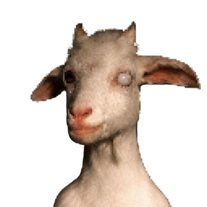 Zeccal