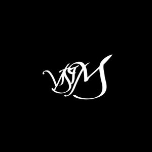 Image for 'visim'