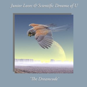 Immagine per 'The Dreamcode'