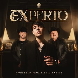 Image for 'Experto'