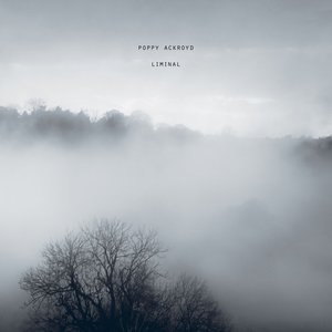Image for 'Liminal'