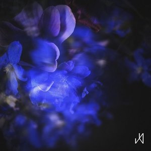 “Iris”的封面