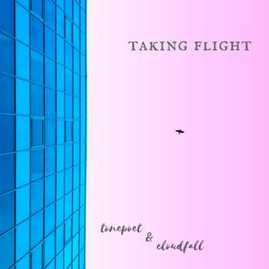“Taking Flight”的封面