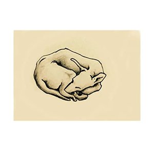 Изображение для 'Ofelia'