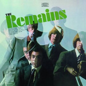 Immagine per 'The Remains'