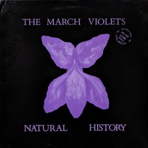 Image pour 'Natural History'