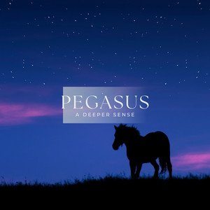 Image for 'Pegasus'