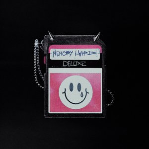 Изображение для 'Memory Hard'