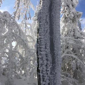 Image for 'Winter'