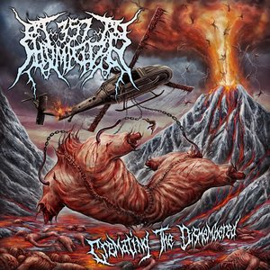 Image for 'Cremating the Dismembered'
