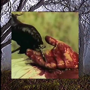 Image for 'Kill Yourself Part II: The Black Suede Saga'