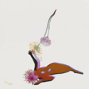 Image for 'The Far Field'