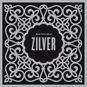 Immagine per 'Zilver'