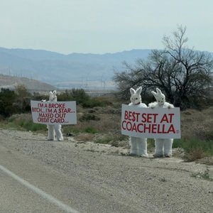 Image for 'Slayyyter Live at Coachella Festival '26 (Live)'