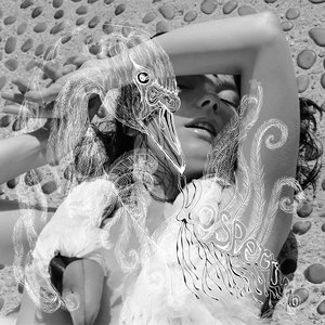 Image for 'Vespertine'