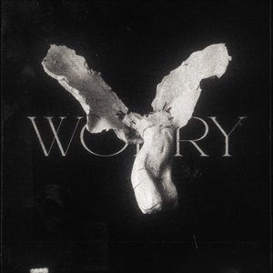 Image for 'worry - Single'