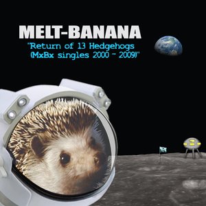 Image for 'Return of 13 Hedgehogs (MxBx singles 2000 - 2009)'