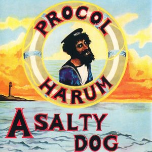 “A Salty Dog”的封面