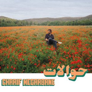 Image for 'Habibi Funk 030: Hawalat'