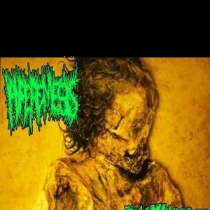 'AGATHOCLES SPLIT OFFICIAL'の画像