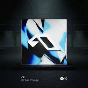 Bild für '25 Years Of Anjuna Mixed By CRi'