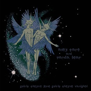 Immagine per 'Spirit They're Gone Spirit They've Vanished'