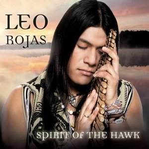 Image for 'Spirit Of The Hawk'