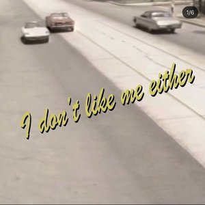Bild für 'i dont like me either'