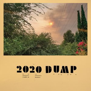 Image for '2020 DUMP'