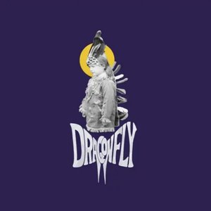 Image for 'Dragonfly'