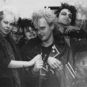 Image for 'Terveet Kädet'