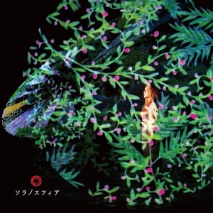 Bild für 'original 5th Album　ソラノスフィア'