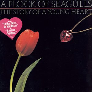 Image for 'The Story of a Young Heart (Bonus Tracks Edition)'