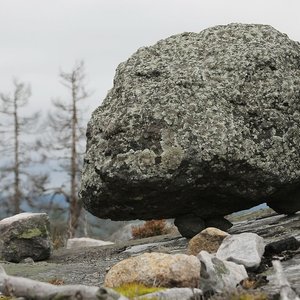 Image for 'Escape with Nature'