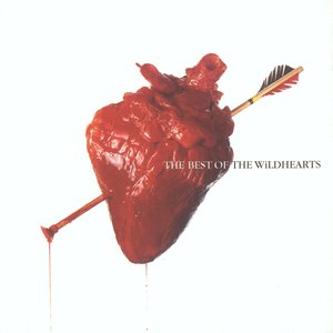 Image for 'The Best of the Wildhearts'
