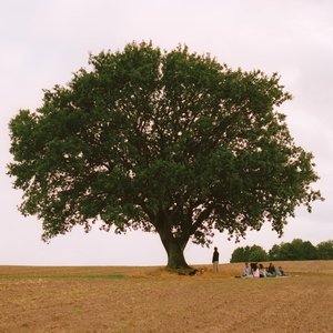 Image for 'Vild Ungdom'